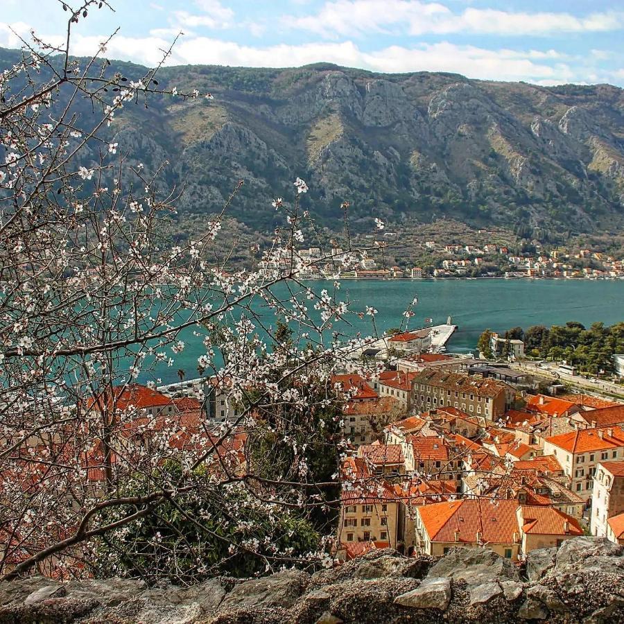 Old Town Kotor Square Apartment Exterior photo